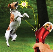 ChillPaw Treat Launcher