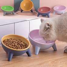 ChillPaw Raised Ceramic-Look Dog Bowl & Stand