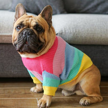 ChillPaw Rainbow Knit Sweater