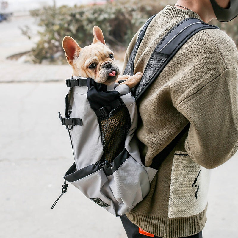 ChillPaw Mesh Travel Backpack