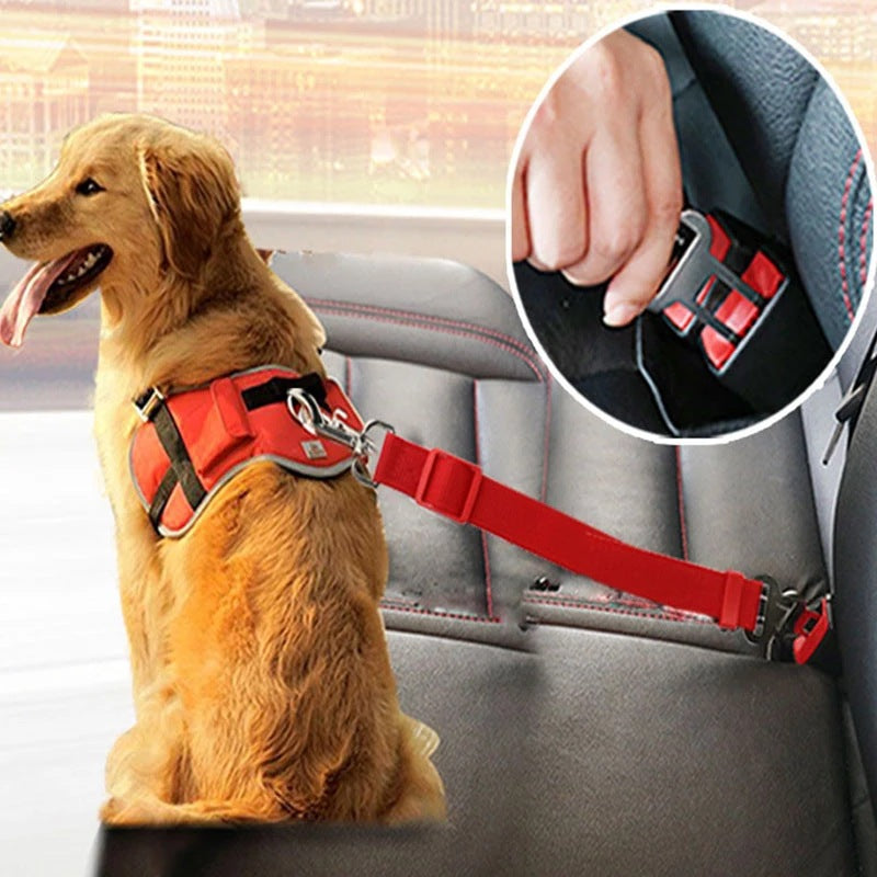ChillPaw Car Seat Belt Tether clipped to a dog harness