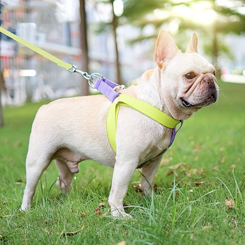 ChillPaw Escape-Proof Harness and Leash Set
