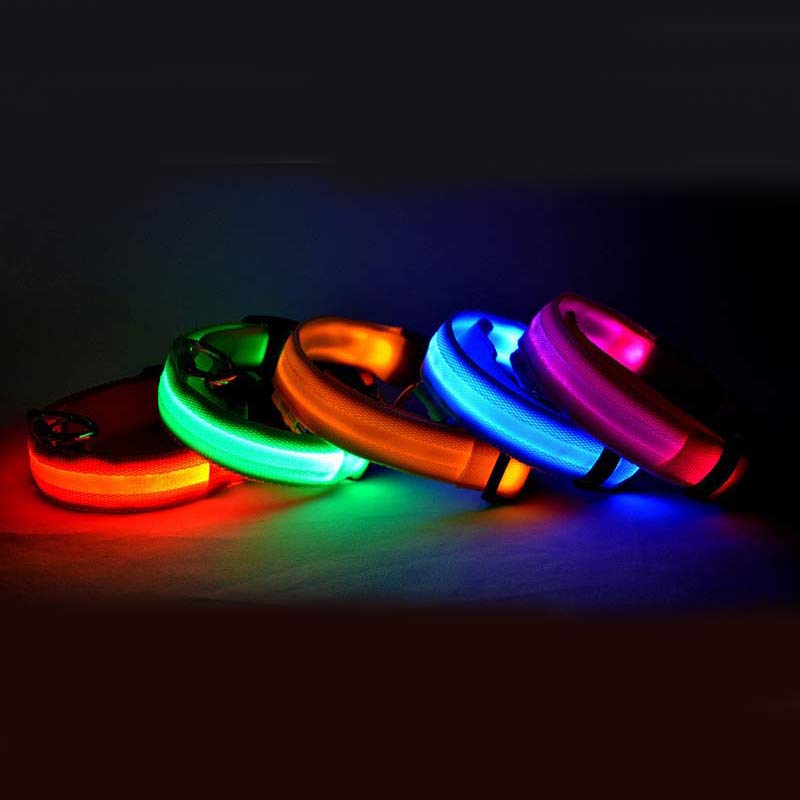 ChillPaw LED Night Collar