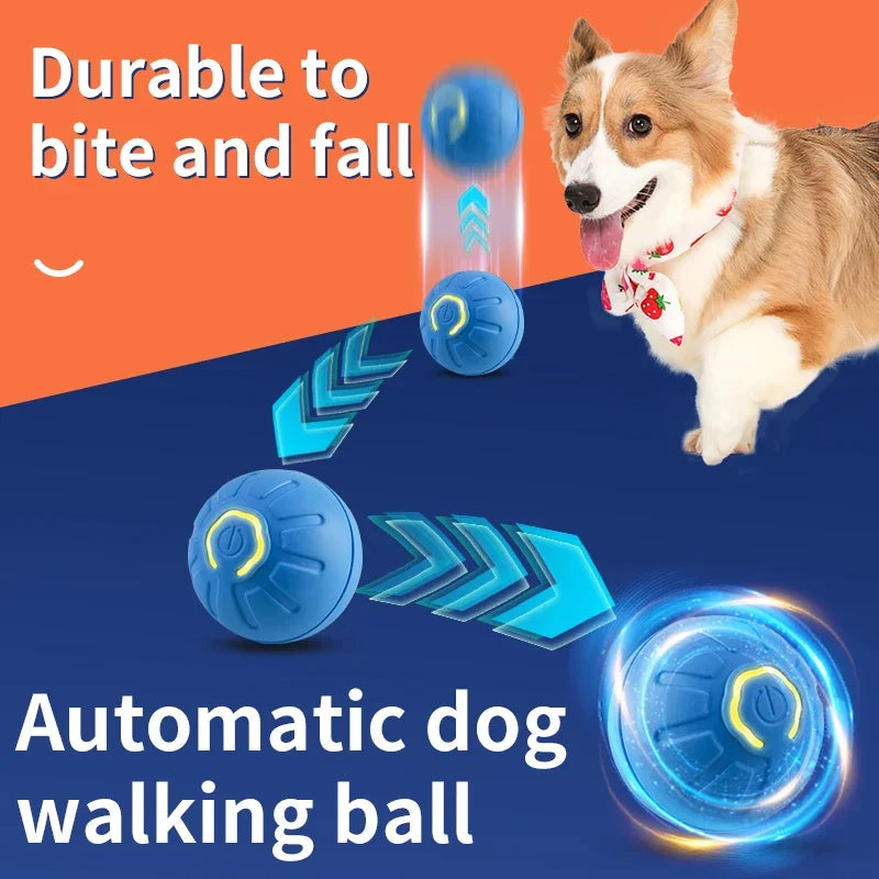 ChillPaw Interactive Wobble Ball