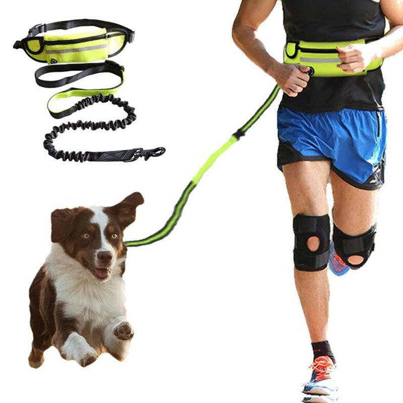 ChillPaw hands-free running leash and waist belt