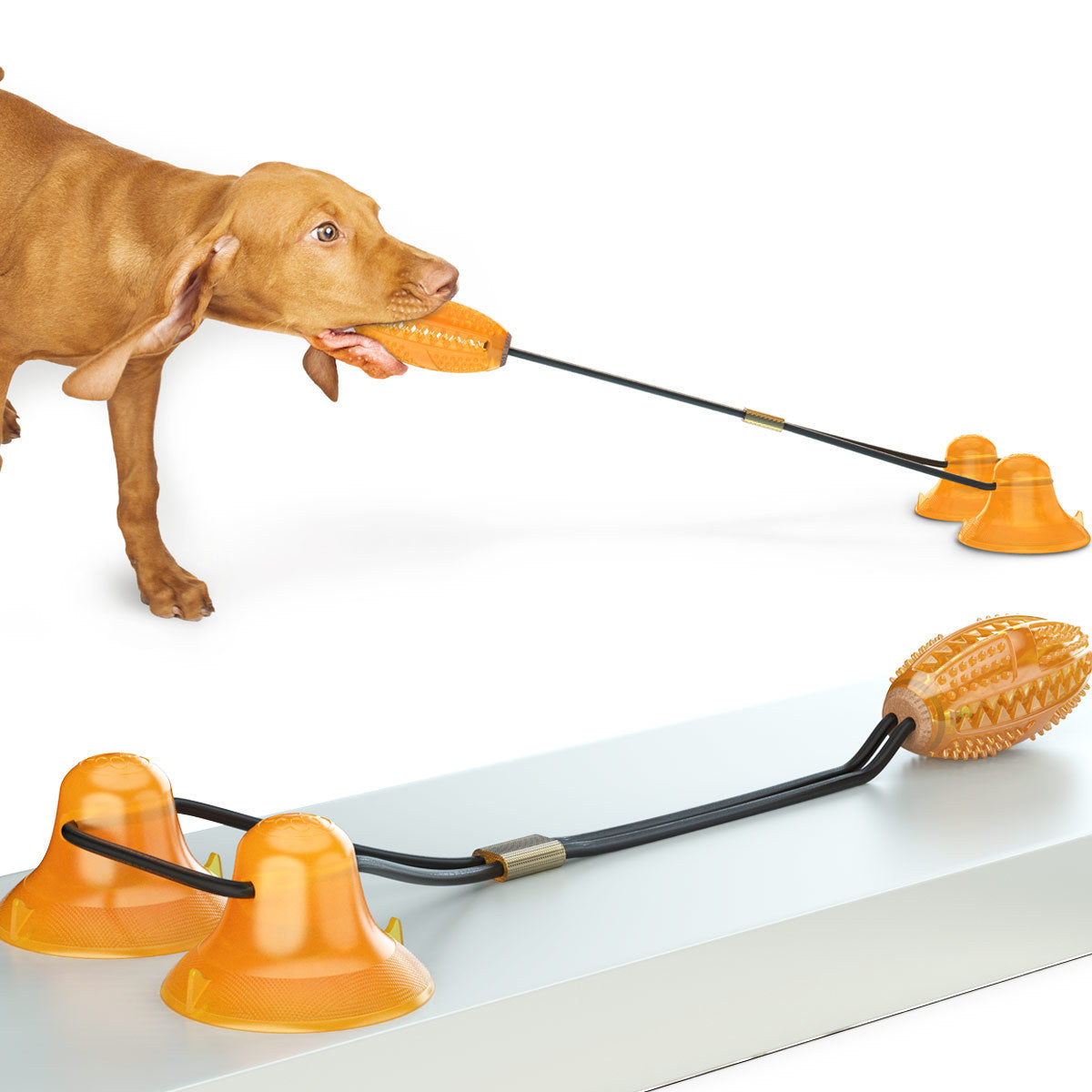 ChillPaw Suction Tug Toy