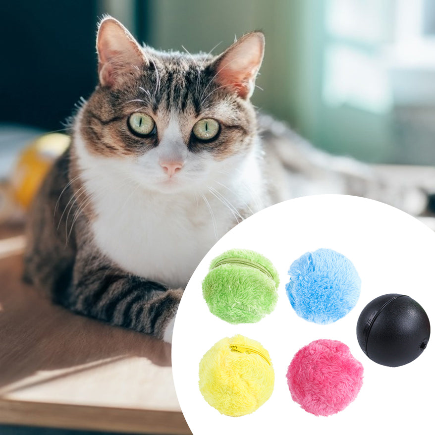 ChillPaw Self-Rolling Smart Ball