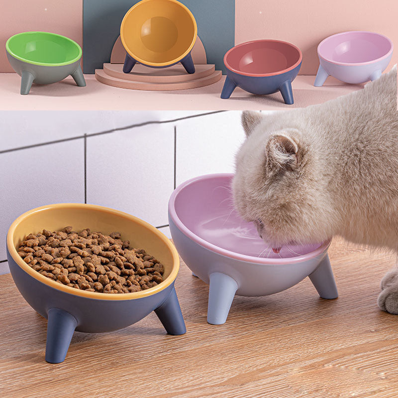 ChillPaw raised dog bowl and stand