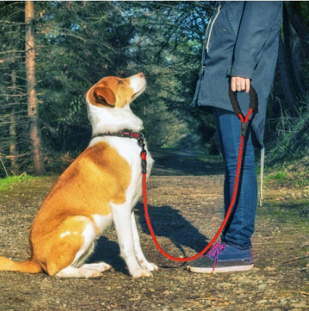 ChillPaw reflective rope dog leash
