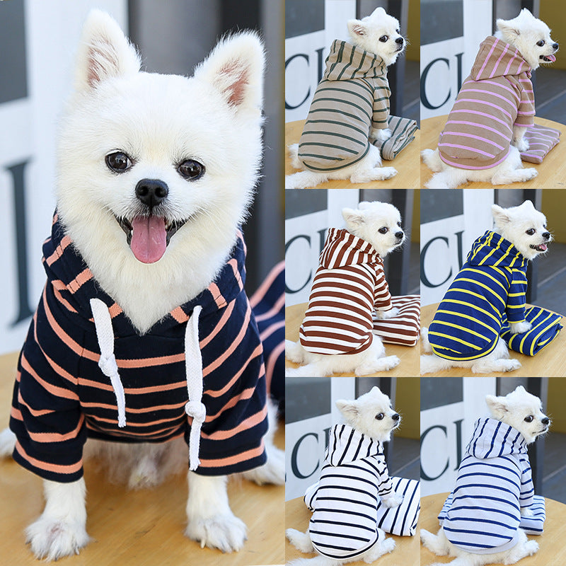 ChillPaw Striped Everyday Hoodie on a dog