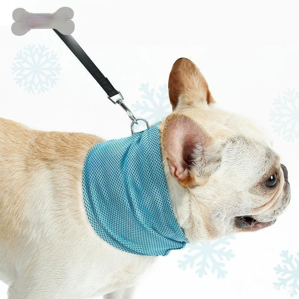 ChillPaw Instant-Cool Bandana on a dog