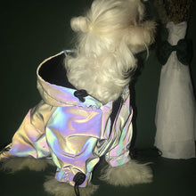 ChillPaw Reflective Windbreaker Hoodie