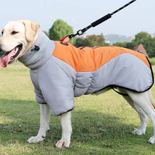 ChillPaw All-Weather Winter Coat