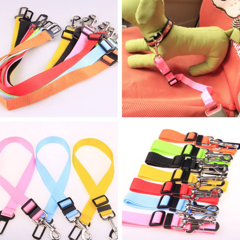 ChillPaw 70cm nylon dog leash with padded handle