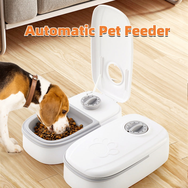 ChillPaw timed automatic pet feeder with stainless bowl