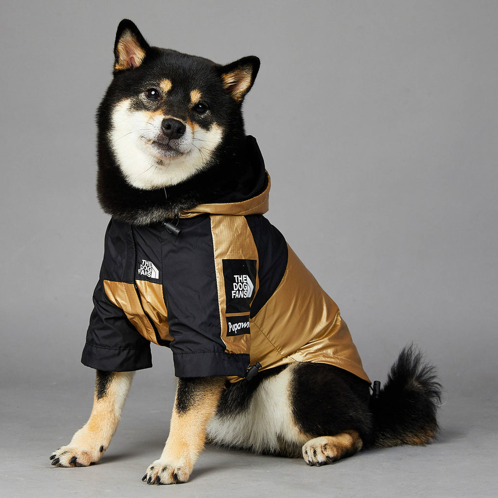 ChillPaw Packable Dog Raincoat in gold